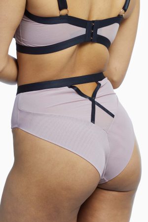 scantilly-by-curvy-kate-brief-scantilly-sheer-chic-high-waist-brief-28732896641072.jpg