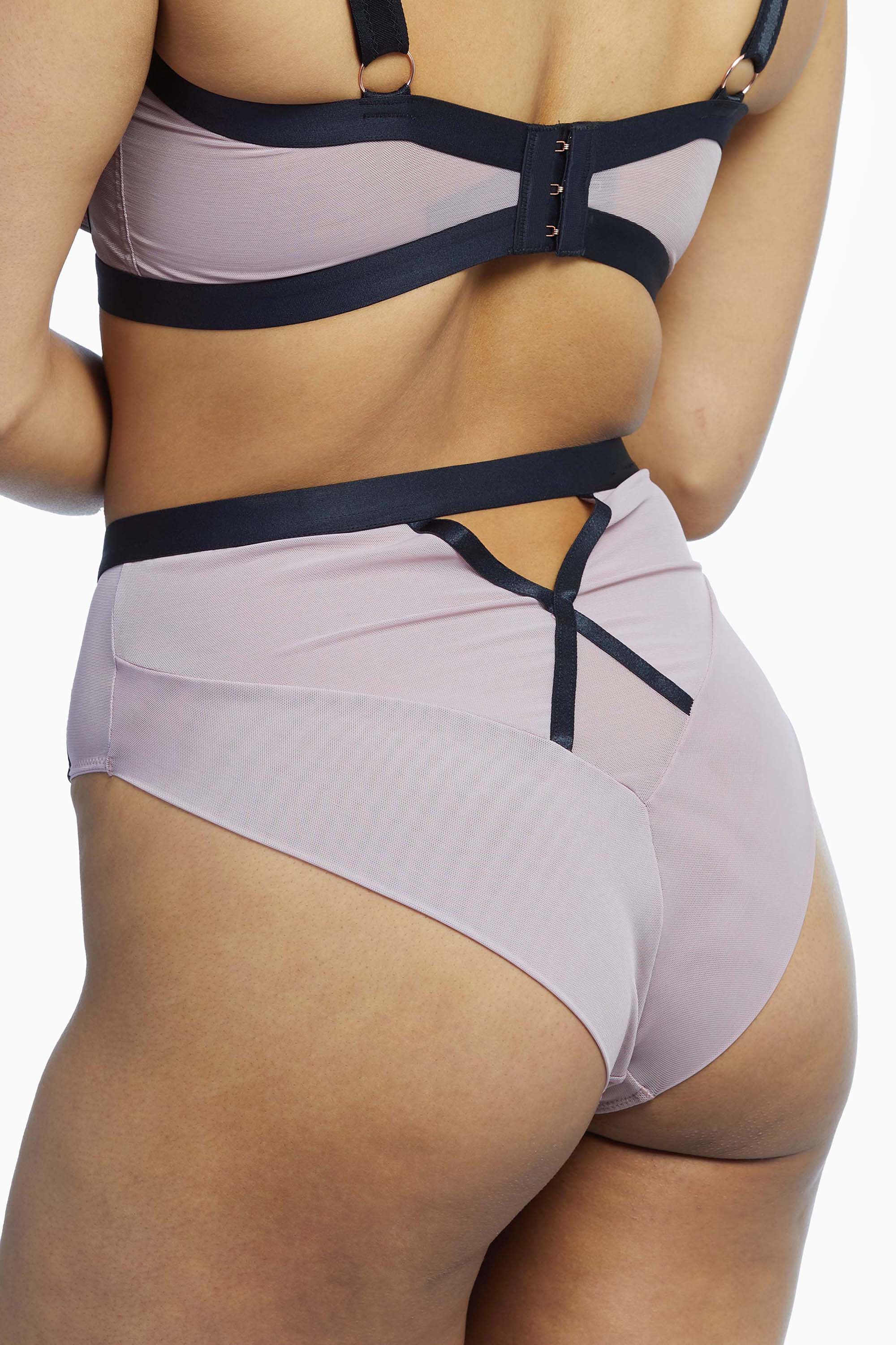 scantilly-by-curvy-kate-brief-scantilly-sheer-chic-high-waist-brief-28732896641072.jpg