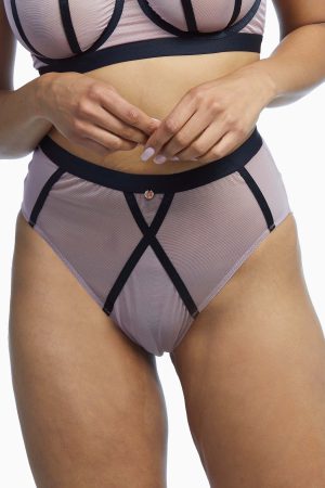 scantilly-by-curvy-kate-brief-scantilly-sheer-chic-high-waist-brief-28790189228080.jpg